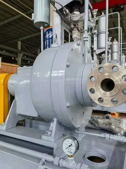 Mechanical Seal And Packing Waste Liquid Transportation Chemical Pitot Pump high quality